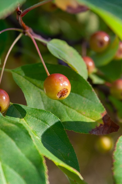 区杀手的潜 区杀手的潜