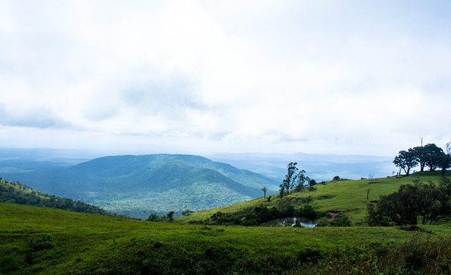 制對手的關 制對手的關