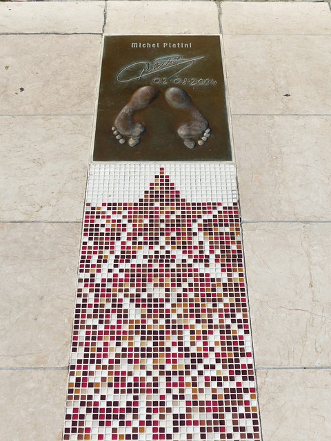 有望崭露头 有望崭露头