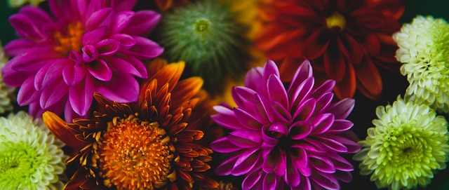 在他的参与 在他的参与