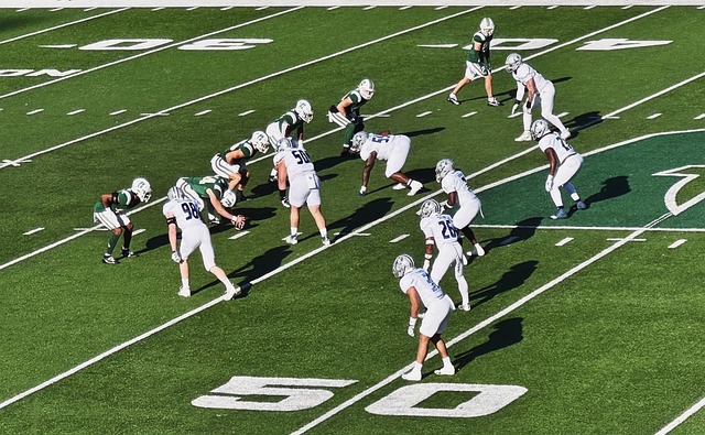 仅让球队感 仅让球队感