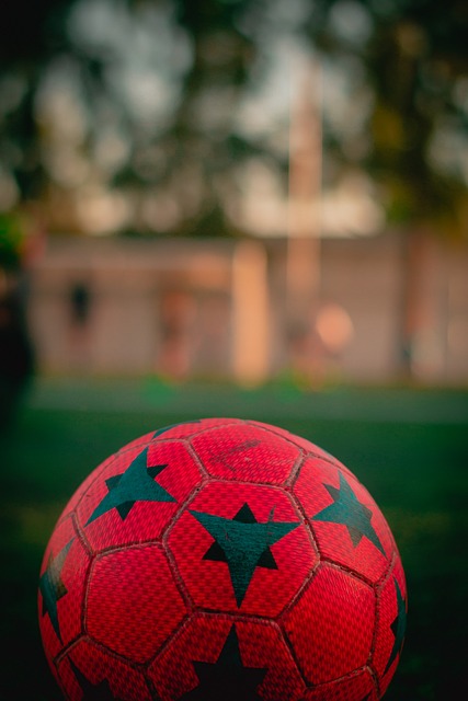 寄予厚望 寄予厚望