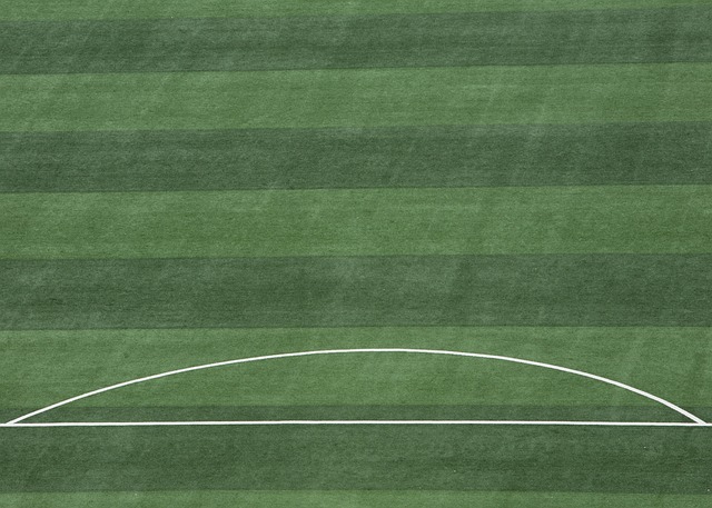 少欧洲豪门 少欧洲豪门